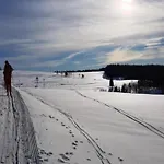 Lejlighed Forest Retreat With Garden