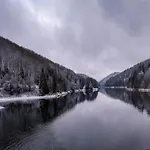 Forest Retreat With Garden Lejlighed *