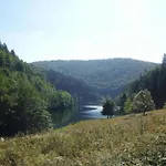 Forest Retreat With Garden Frauenwald