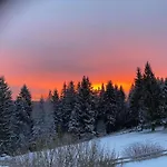 Forest Retreat With Garden