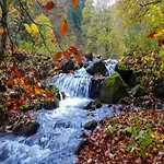 Lejlighed Forest Retreat With Garden