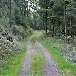 Forest Retreat With Garden *