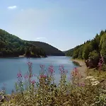 Forest Retreat With Garden דירה *