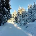 Forest Retreat With Garden *