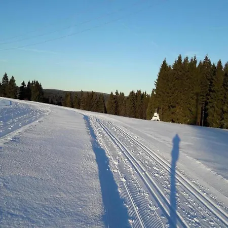 Cosy In Near Forest Frauenwald