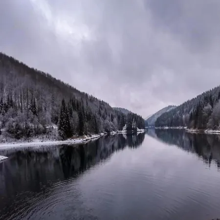 Forest Retreat With Garden Lejlighed *