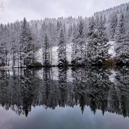 Forest Retreat With Garden Lejlighed Frauenwald