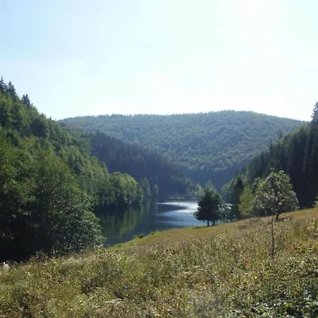 Forest Retreat With Garden Frauenwald