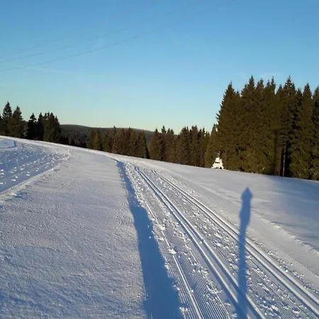 Apartamento Forest Retreat With Garden *