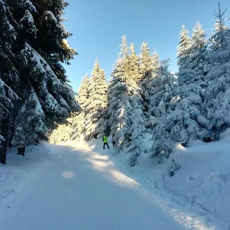 Forest Retreat With Garden *