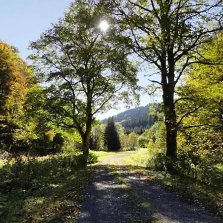 Forest Retreat With Garden Апартаменты