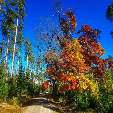 Forest Retreat With Garden Фрауэнвальд