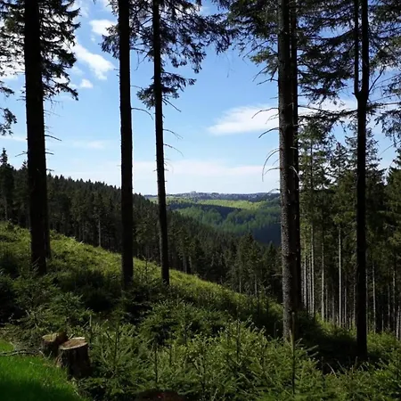 Forest Retreat With Garden Apartment Frauenwald
