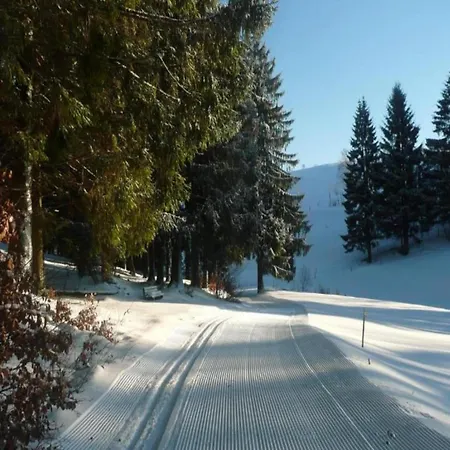 Forest Retreat With Garden * Frauenwald