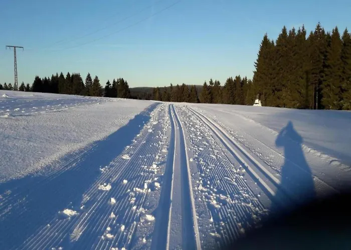 Forest Retreat With Garden * Frauenwald