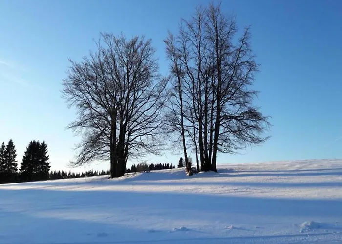 Forest Retreat With Garden
