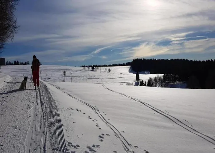 Appartement Forest Retreat With Garden