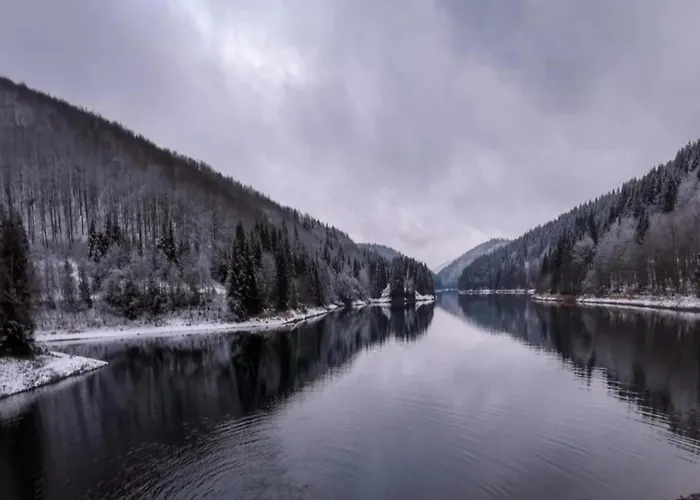 Forest Retreat With Garden Apartamento *