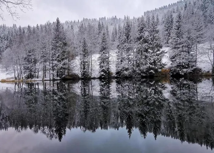 Forest Retreat With Garden Appartement Frauenwald