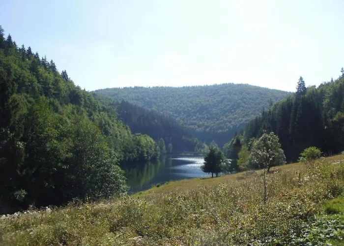 Forest Retreat With Garden Frauenwald
