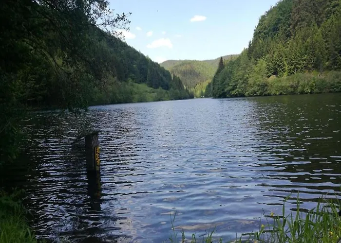 Forest Retreat With Garden Lejlighed *