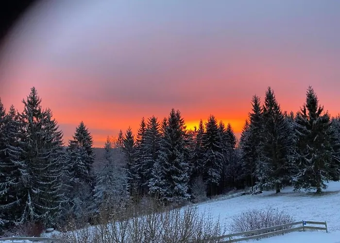 Forest Retreat With Garden
