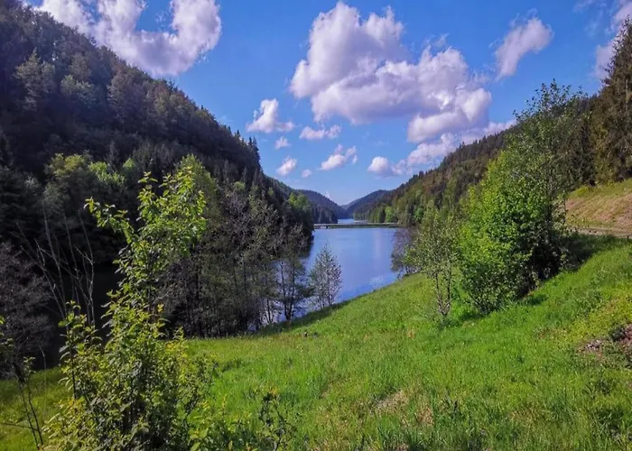 Forest Retreat With Garden Lejlighed *