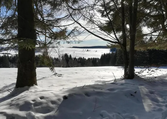 Forest Retreat With Garden