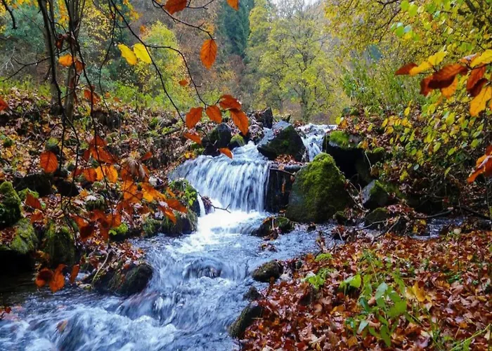Lejlighed Forest Retreat With Garden
