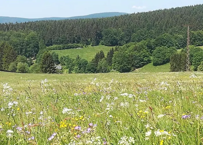 Forest Retreat With Garden Apartamento *