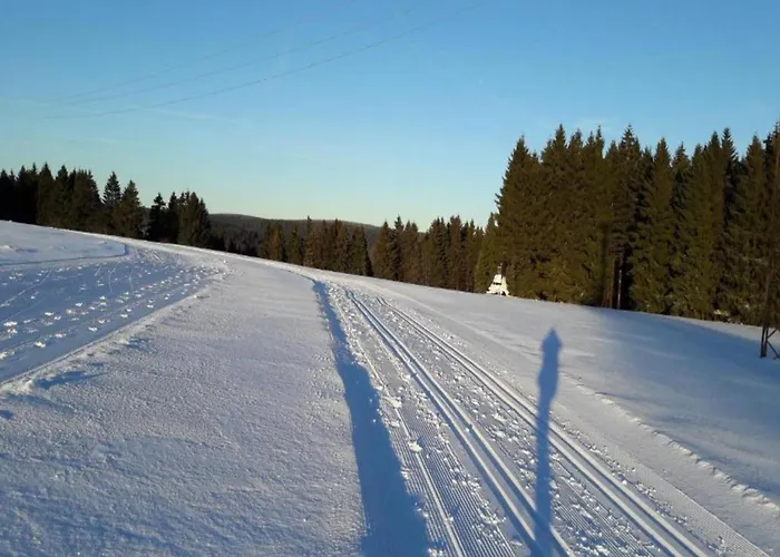 Appartement Forest Retreat With Garden *