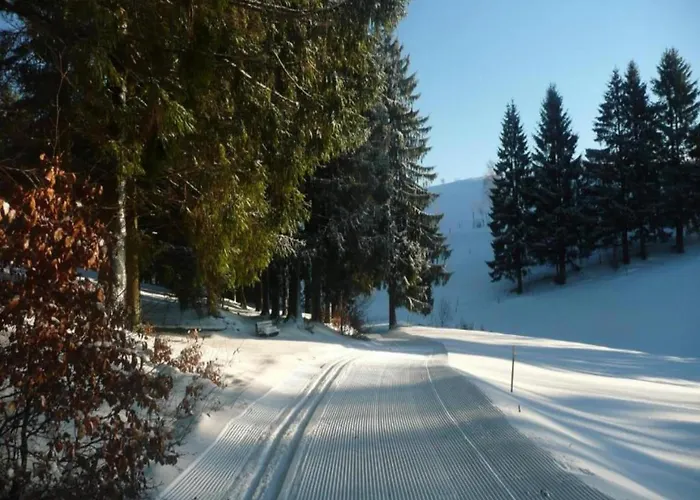 Forest Retreat With Garden Appartement