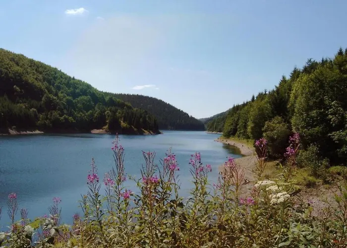 Forest Retreat With Garden Lejlighed *