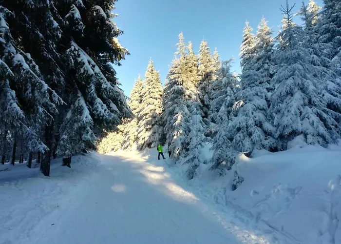 Forest Retreat With Garden *