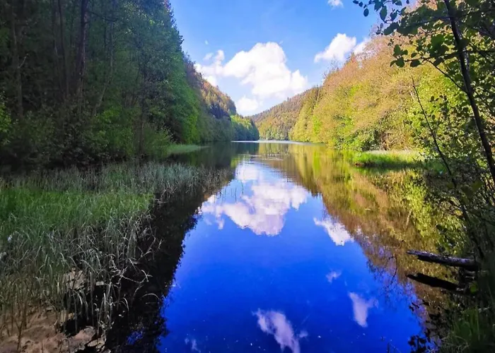 Forest Retreat With Garden Appartement *