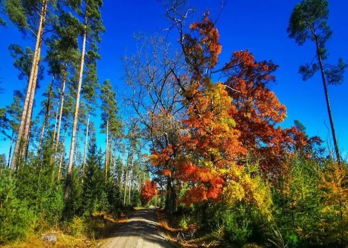 Forest Retreat With Garden Frauenwald